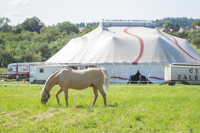 Vintage Circus